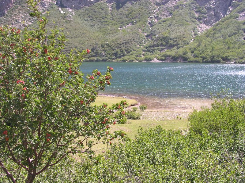 25 Aout 2004 19.JPG